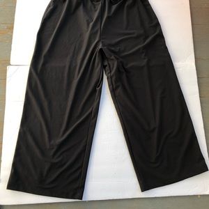 spanx Pants - Spanx Bod-a-Bling Cropped Pants Built in Liner L spanx Pants - Spanx Bod-a-Bling Cropped Pants Built in Liner L